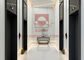 FUJI Passenger Lift Lift dengan 6 Orang untuk China Passenger Lifts Factory