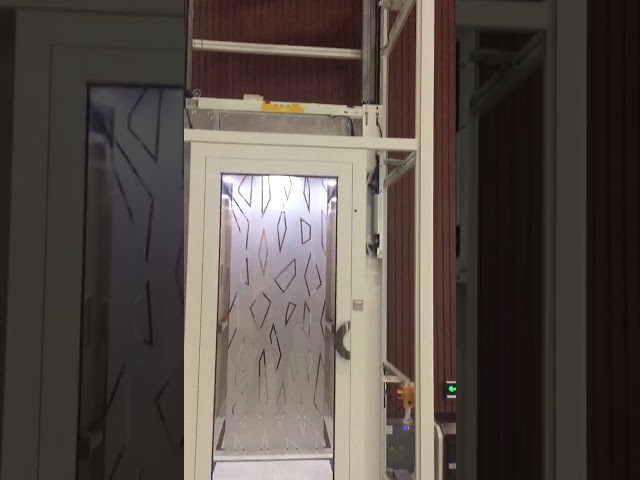 Lift Rumah Hunian Penumpang Panorama 450kg yang Disesuaikan