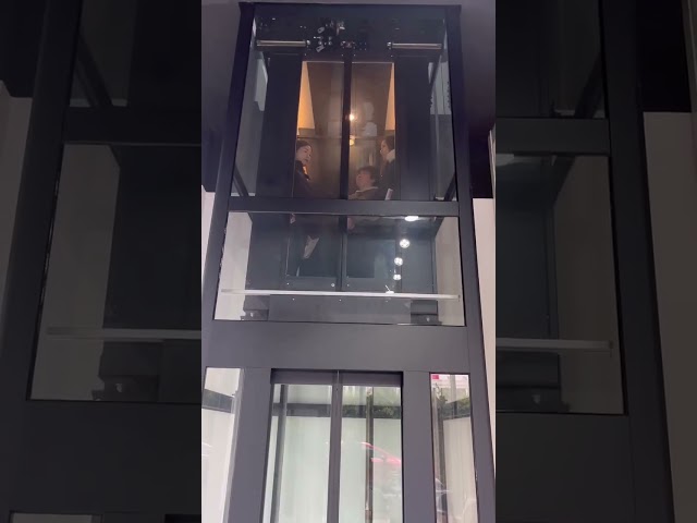 Lift Traksi Pengangkatan Hunian Kecil 400kg Dengan Sistem MONARCH
