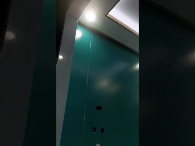 Stainless Steel Square Tube Frame Elevator Ceiling Down Light Dengan Bagian Lift